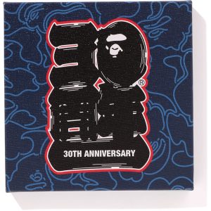 BAPE? 30TH ANNIV. CANVAS SMALL