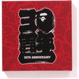 BAPE? 30TH ANNIV. CANVAS MEDIUM